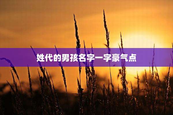 姓代的男孩名字一字豪气点