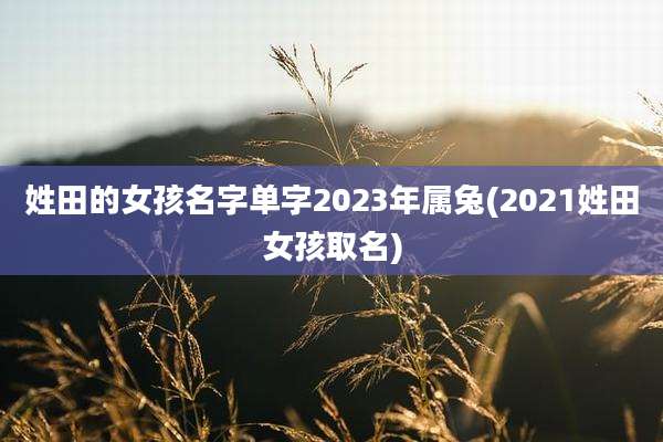 姓田的女孩名字单字2023年属兔(2021姓田女孩取名)