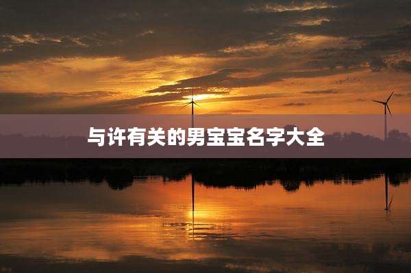 与许有关的男宝宝名字大全