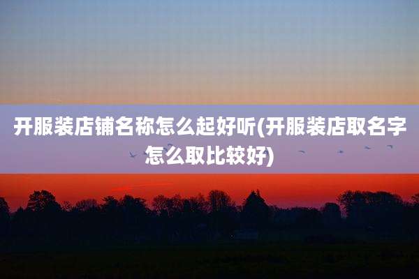 开服装店铺名称怎么起好听(开服装店取名字怎么取比较好)