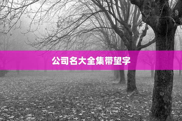 公司名大全集带望字