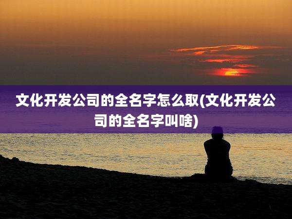 文化开发公司的全名字怎么取(文化开发公司的全名字叫啥)