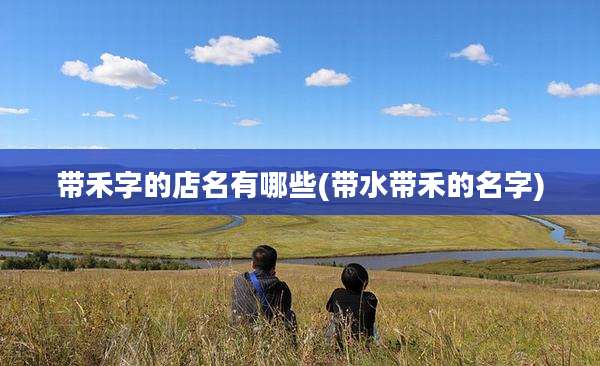 带禾字的店名有哪些(带水带禾的名字)