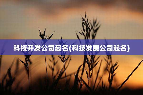 科技开发公司起名(科技发展公司起名)