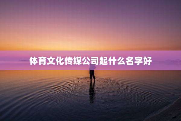 体育文化传媒公司起什么名字好