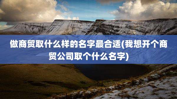 做商贸取什么样的名字最合适(我想开个商贸公司取个什么名字)