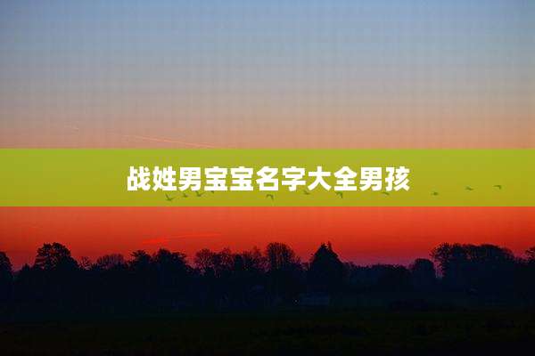 战姓男宝宝名字大全男孩