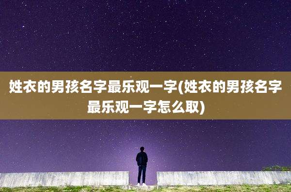 姓衣的男孩名字最乐观一字(姓衣的男孩名字最乐观一字怎么取)