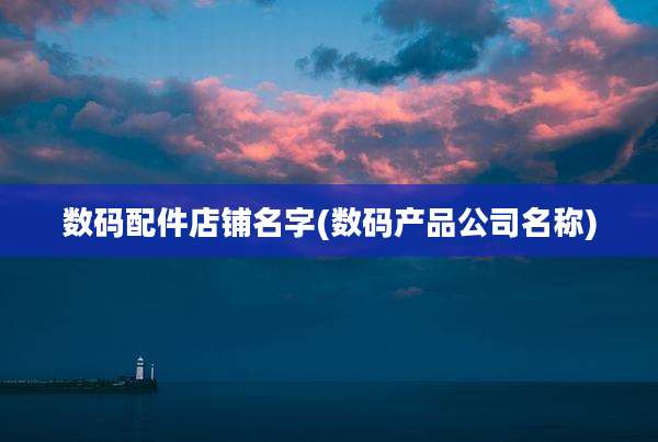 数码配件店铺名字(数码产品公司名称)