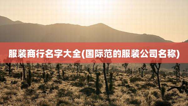 服装商行名字大全(国际范的服装公司名称)