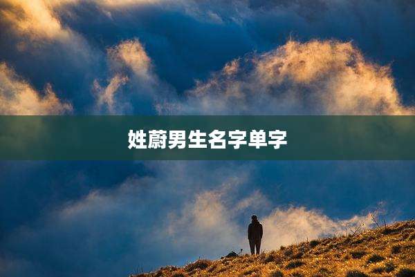 姓蔚男生名字单字