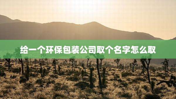 给一个环保包装公司取个名字怎么取