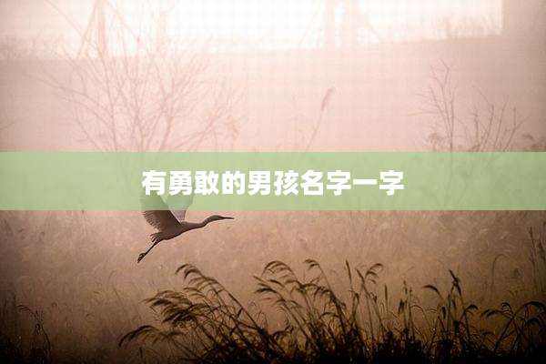 有勇敢的男孩名字一字