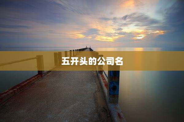 五开头的公司名