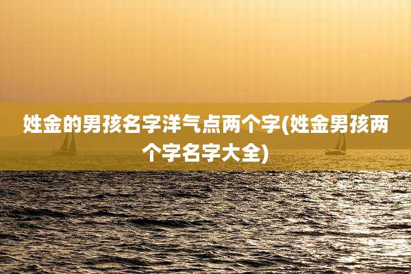 姓金的男孩名字洋气点两个字(姓金男孩两个字名字大全)