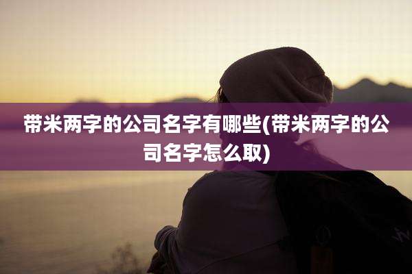 带米两字的公司名字有哪些(带米两字的公司名字怎么取)