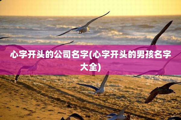 心字开头的公司名字(心字开头的男孩名字大全)