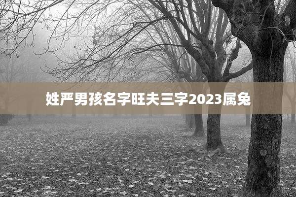 姓严男孩名字旺夫三字2023属兔