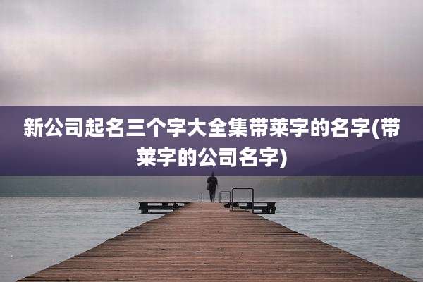 新公司起名三个字大全集带莱字的名字(带莱字的公司名字)