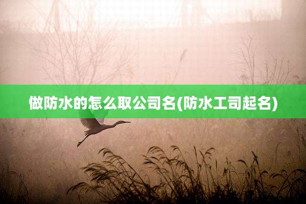 做防水的怎么取公司名(防水工司起名)