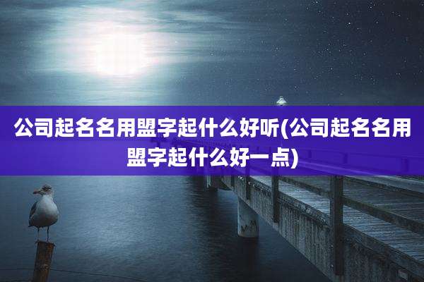 公司起名名用盟字起什么好听(公司起名名用盟字起什么好一点)