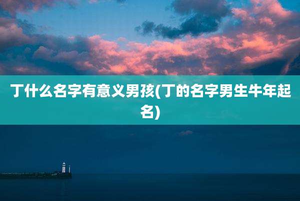 丁什么名字有意义男孩(丁的名字男生牛年起名)
