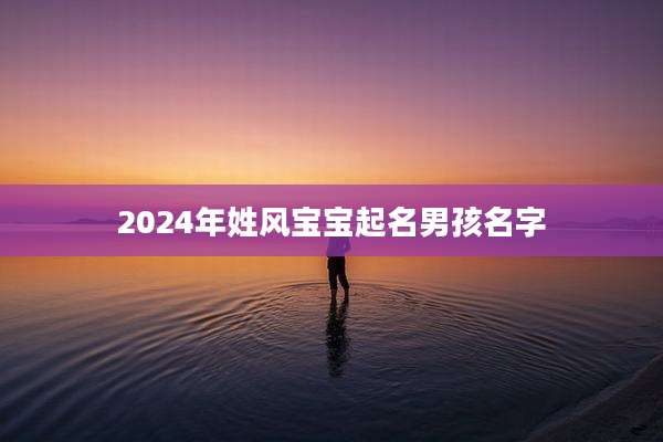 2024年姓风宝宝起名男孩名字