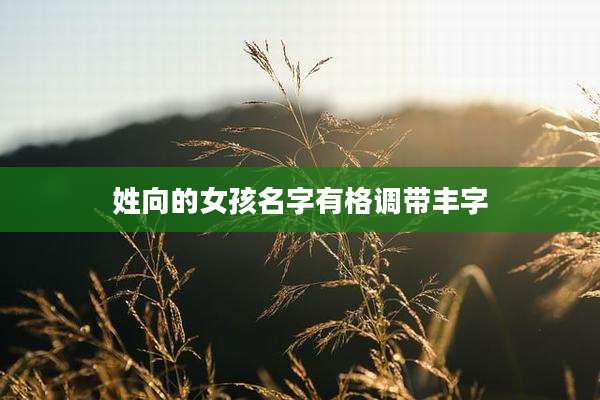 姓向的女孩名字有格调带丰字