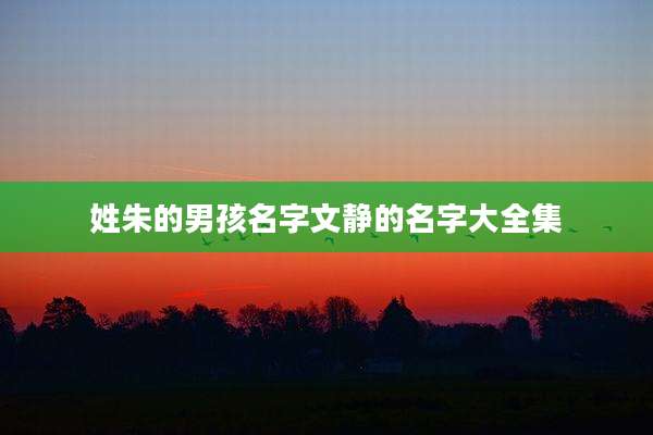 姓朱的男孩名字文静的名字大全集
