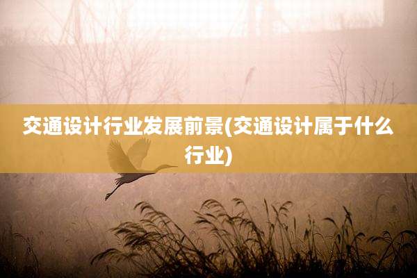 交通设计行业发展前景(交通设计属于什么行业)