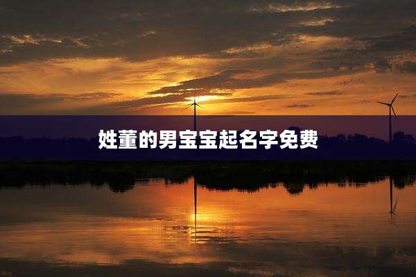 姓董的男宝宝起名字免费