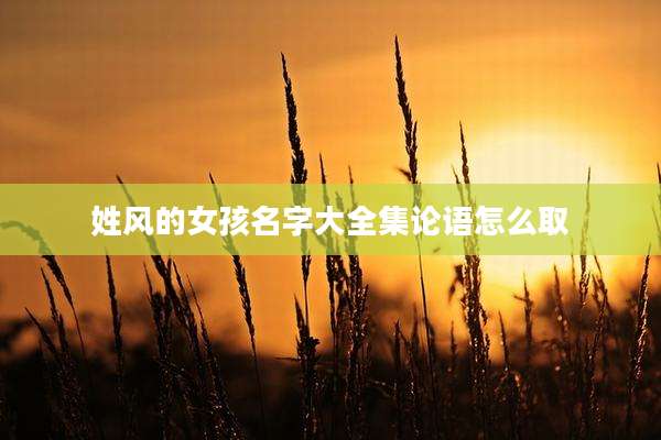 姓风的女孩名字大全集论语怎么取