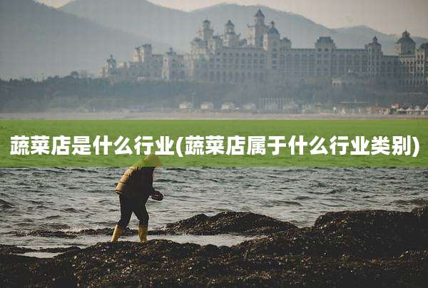 蔬菜店是什么行业(蔬菜店属于什么行业类别)