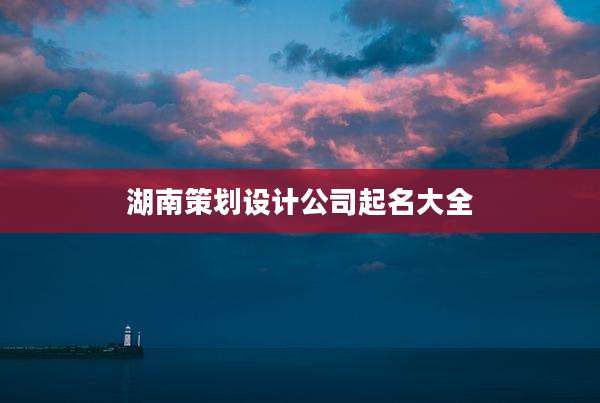 湖南策划设计公司起名大全