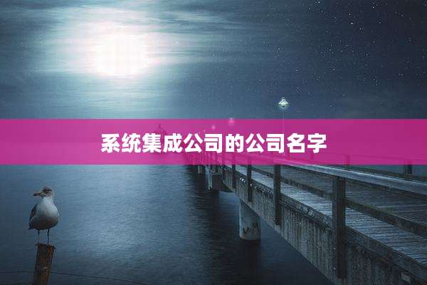 系统集成公司的公司名字