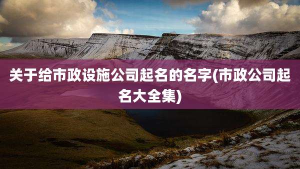 关于给市政设施公司起名的名字(市政公司起名大全集)