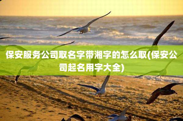 保安服务公司取名字带湘字的怎么取(保安公司起名用字大全)