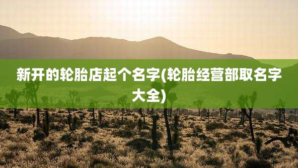 新开的轮胎店起个名字(轮胎经营部取名字大全)
