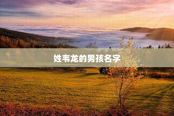 姓韦龙的男孩名字