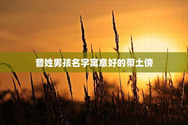 普姓男孩名字寓意好的带土傍