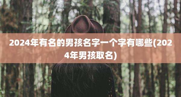 2024年有名的男孩名字一个字有哪些(2024年男孩取名)