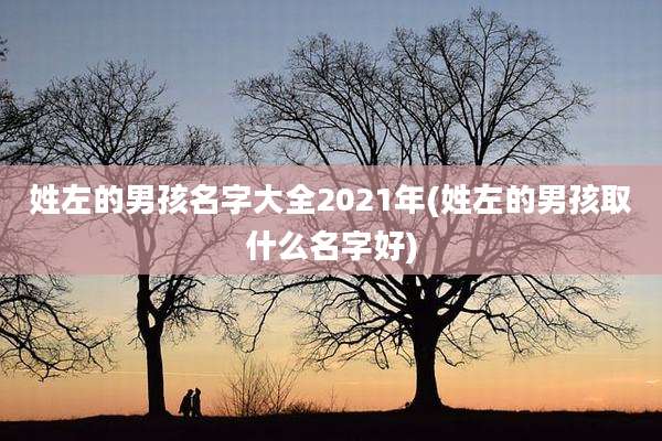 姓左的男孩名字大全2021年(姓左的男孩取什么名字好)