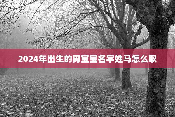 2024年出生的男宝宝名字姓马怎么取