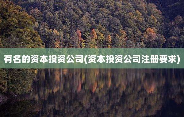 有名的资本投资公司(资本投资公司注册要求)