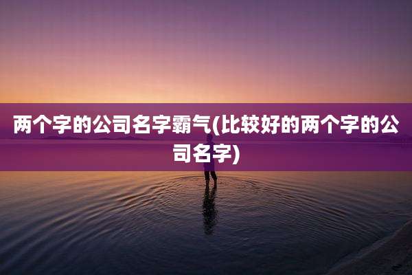 两个字的公司名字霸气(比较好的两个字的公司名字)