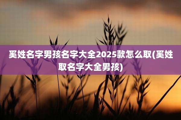 奚姓名字男孩名字大全2025款怎么取(奚姓取名字大全男孩)