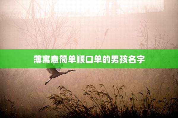 薄寓意简单顺口单的男孩名字