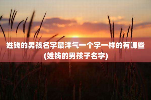 姓钱的男孩名字最洋气一个字一样的有哪些(姓钱的男孩子名字)
