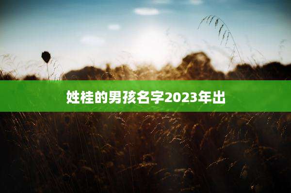 姓桂的男孩名字2023年出