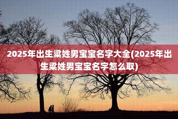 2025年出生粱姓男宝宝名字大全(2025年出生粱姓男宝宝名字怎么取)